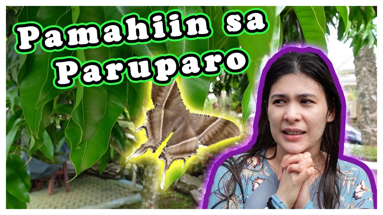 Roxanne Guinoo-Yap Paru Paro? Paramdam?