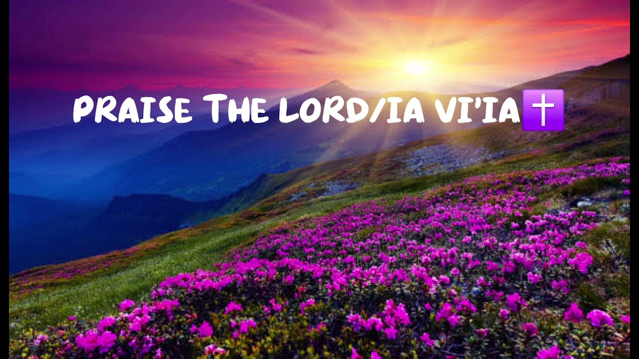Praise the lord/ia vi'ia