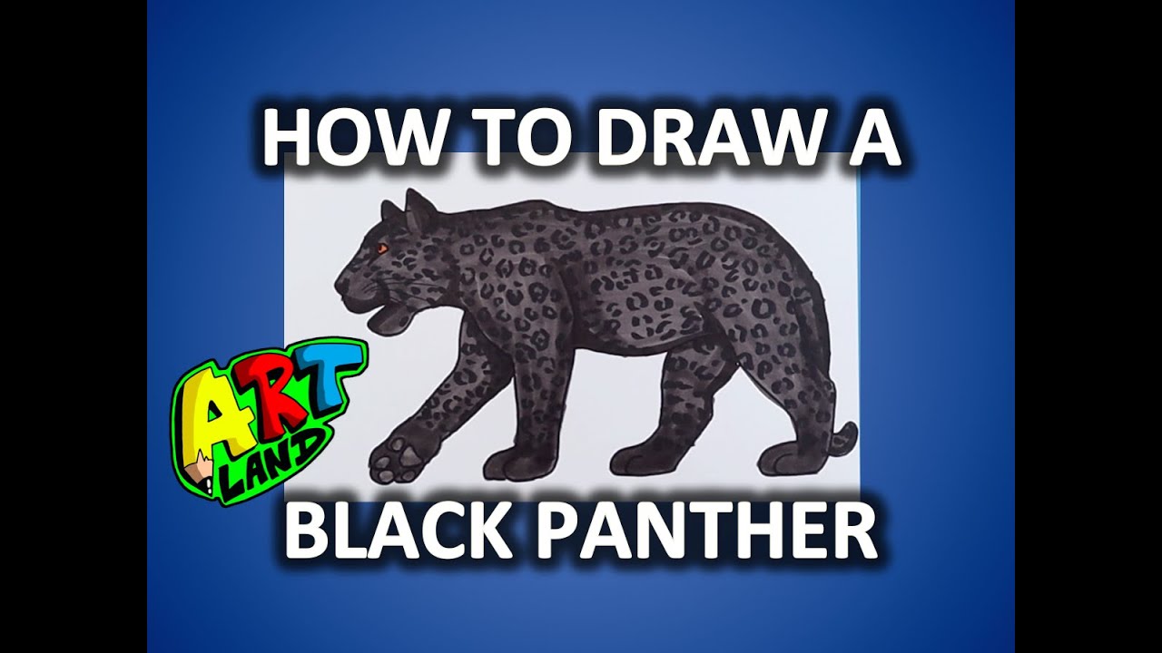 How to Draw a BLACK PANTHER