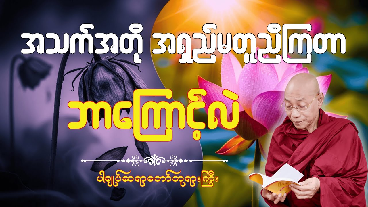 ဘဝတွေ အသက်အတိုအရှည်မတူကြတာ ဘာကြောင့်လဲ (ပါချုပ်ဆရာတော်ကြီး)🙏🌹#dhamma #တရားတော်များ #တရား