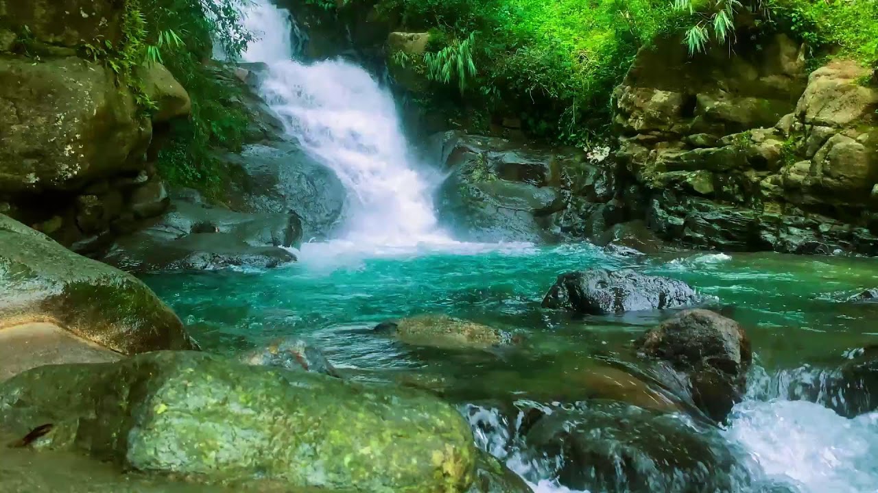 ИДЕАЛЬНЫЙ ЗВУК ДЛЯ СНА 🌊 Чистая река в тропических джунглях — Звуки природы
