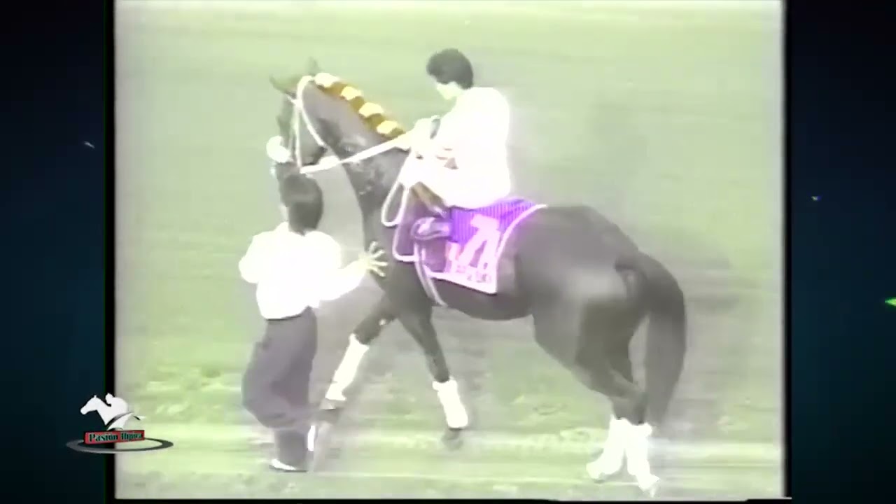 La Historia de Laredo caballo ganador del gran premio Carlos Pellegrini 1993