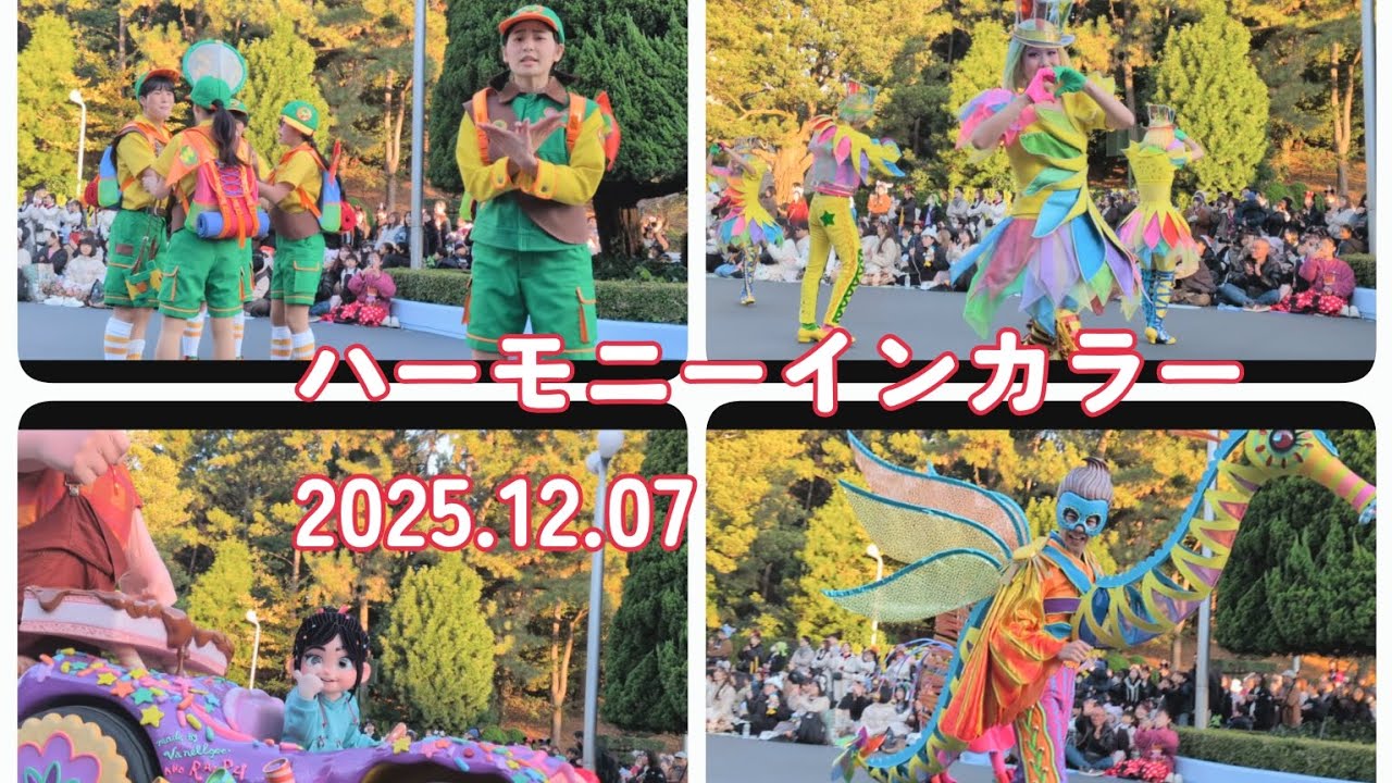 ハーモニーインカラー★2025年12月7日