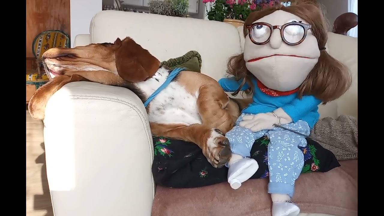 Psi smuteczek ❤️dla dzieci Justynka i Henio