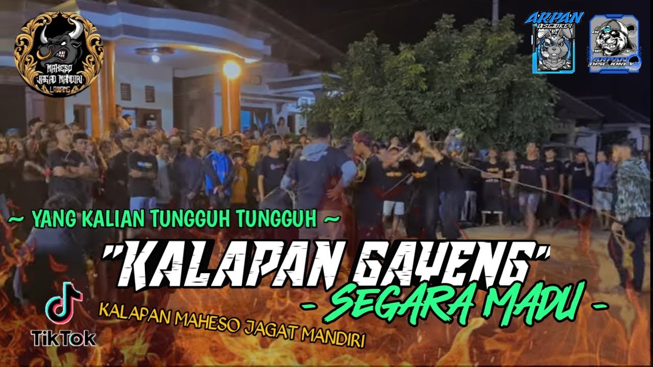 DJ BANTENGAN - KALAPAN SEGARA MADU - JINGGLE KALAPAN @MAHESOJAGADMANDIRI - STYLE GAYENG!!!