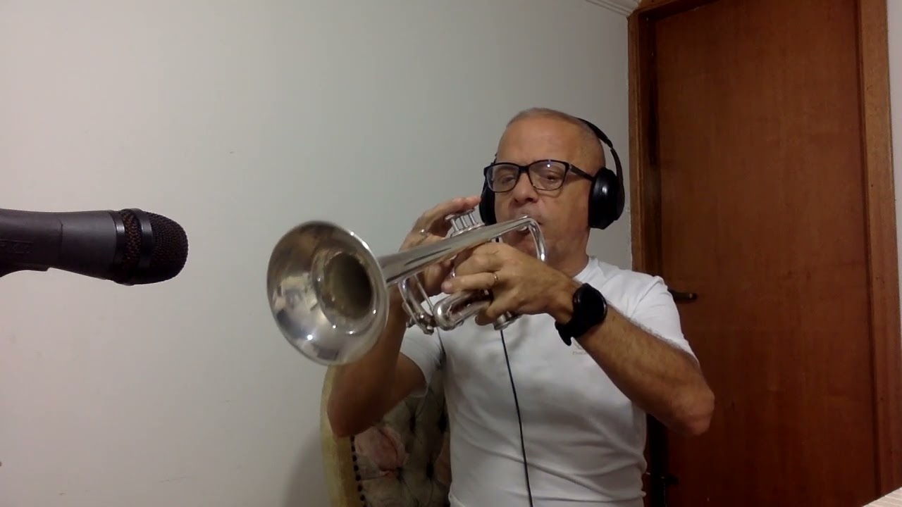 HINO 394   ESTILO TOCATA