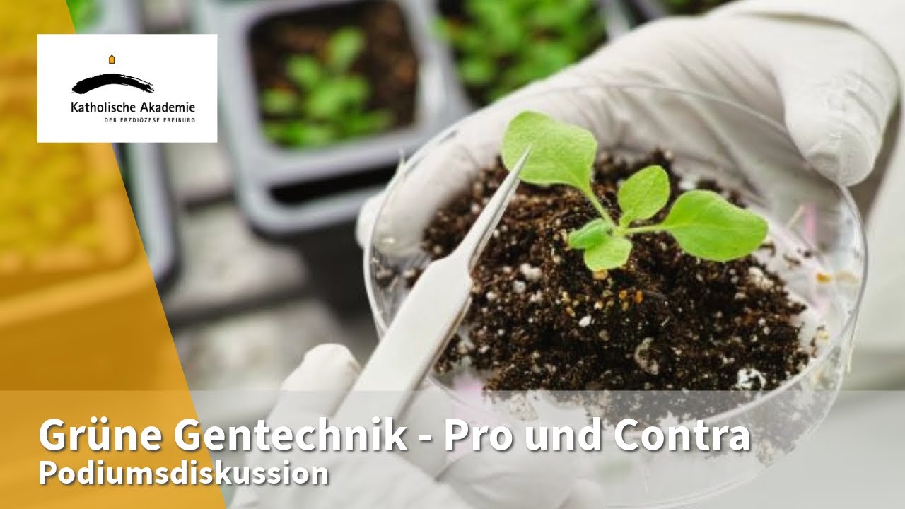 Gr&uuml;ne Gentechnik - Pro und Contra