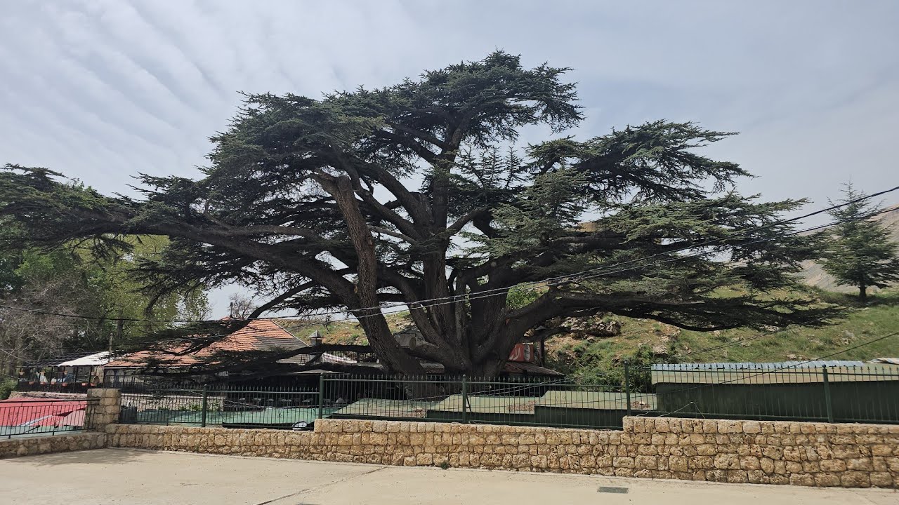 Liban : présentation de ce pays magique