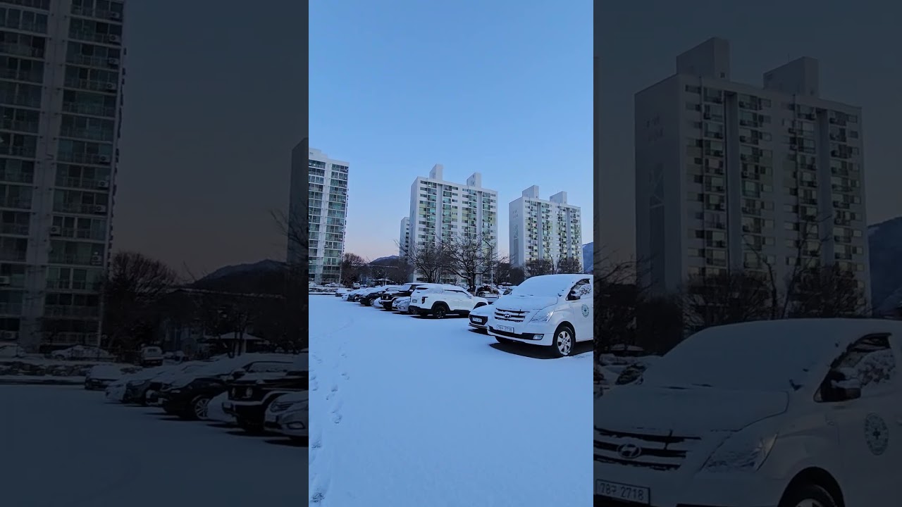 SNOW SOUNDS🌨❄️🇰🇷 LOVE AT FIRST FALL🌨❄️