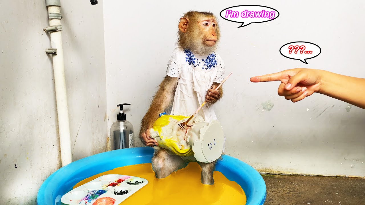 Monkey Lyly makes things more complicated when she tries to help her mother clean up.