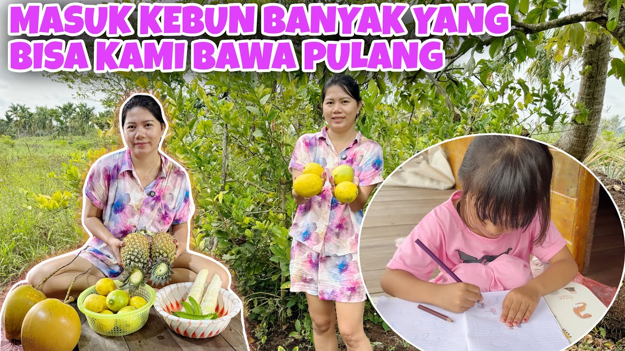 MASUK KEBUN LIHAT KAMI PANEN APA AJA YANG BISA DI BAWA PULANG‼️LIHAT YUNA MENGGAMBAR BUAH-BUAHAN