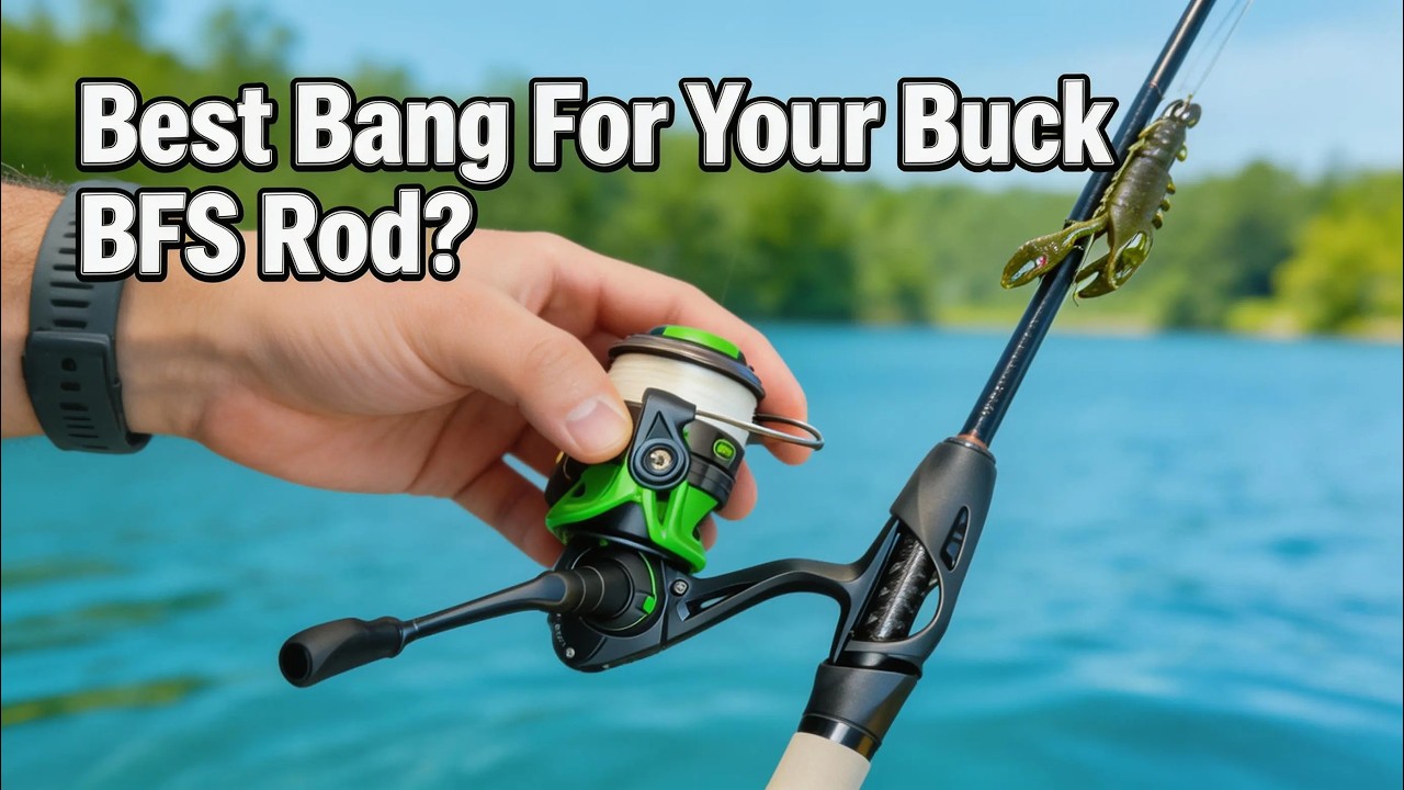 Best Bang For Your Buck BFS Rod?