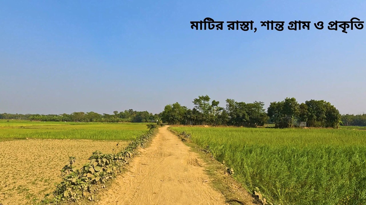 মাটির রাস্তা, শান্ত গ্রাম ও নির্জন প্রকৃতি | গ্রামবাংলার সুন্দর পরিবেশ ও বাস্তব জীবন