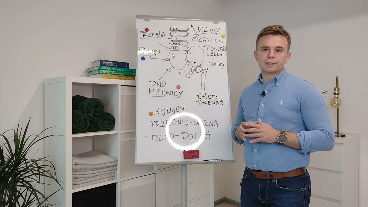 BÓL ZE STAWU KRZYŻOWO-BIODROWEGO | GDZIE BOLI? JAKIE SĄ TEGO PRZYCZYNY?