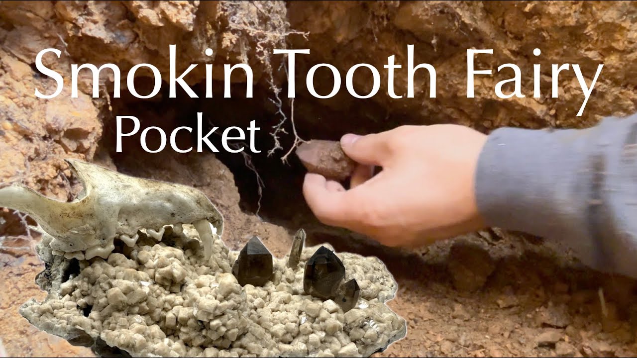Smokin Tooth Fairy Pocket | Crystal Collaboration in the Front Range