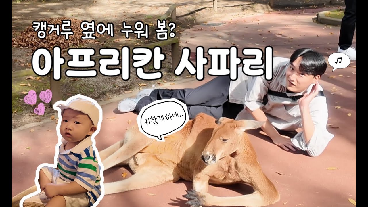 18개월 아기와 일본 벳부 아프리칸 사파리 & 가마도 지옥 온천 | 후쿠오카4편 | 내돈내산 소소버스투어