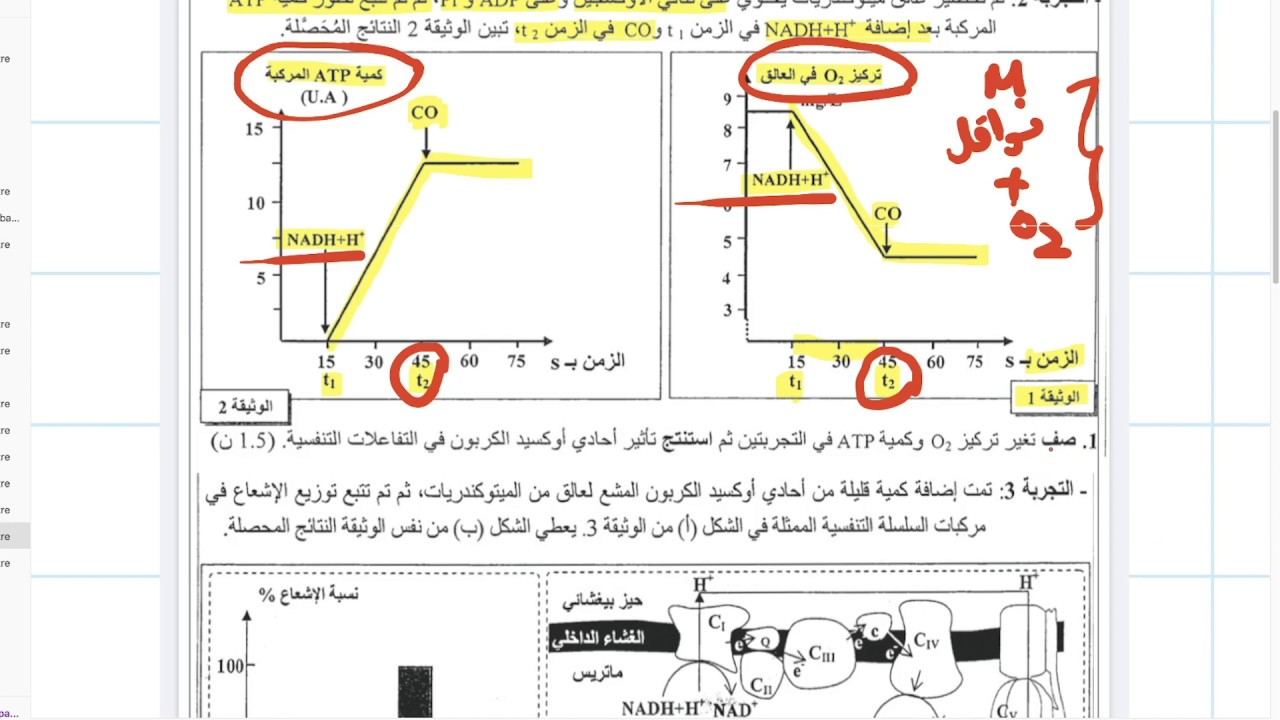 تمرين في السلسلة التنفسية