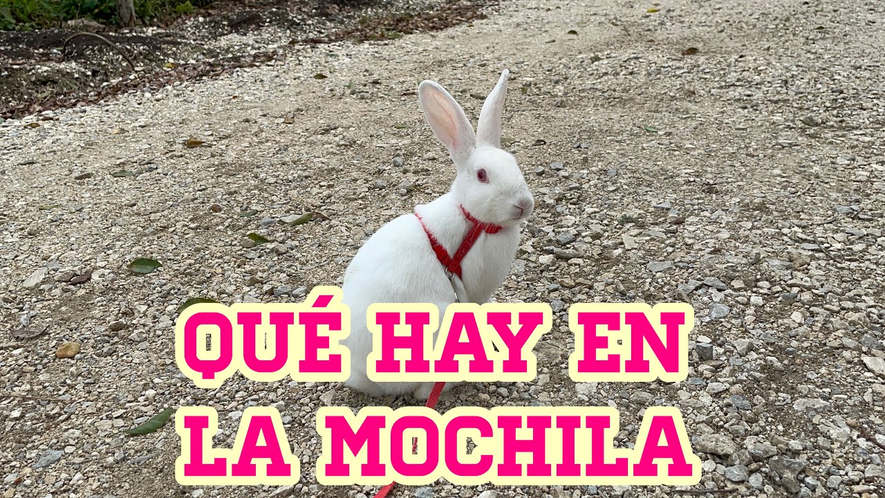 QUE LLEVO EN LA MOCHILA