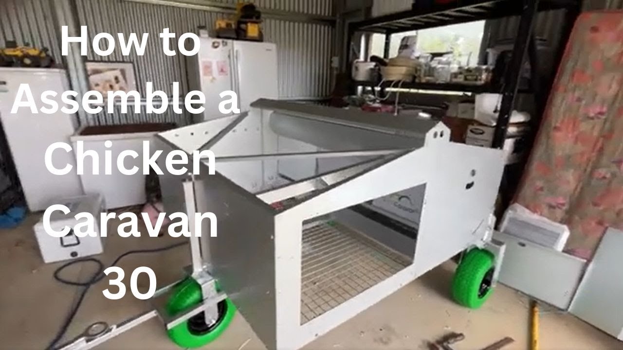 How good is a Chicken Caravan 30 & New Pigs to Grow Out