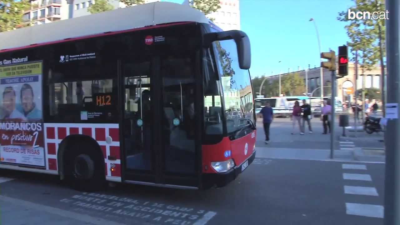 La Nova Xarxa de Bus segueix creixent