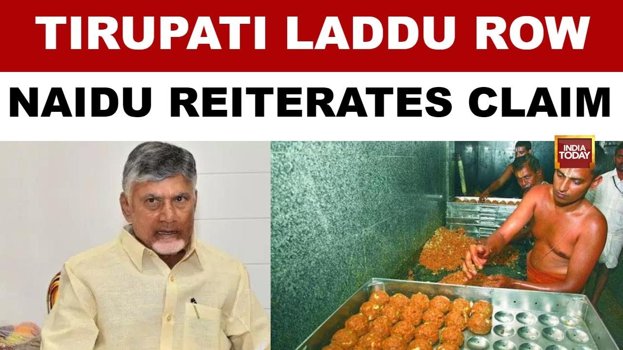 Tirupati Laddu Row: Andhra Pradesh CM  Chandrababu Naidu Doubles Down His Attack | Jaganmohan Reddy