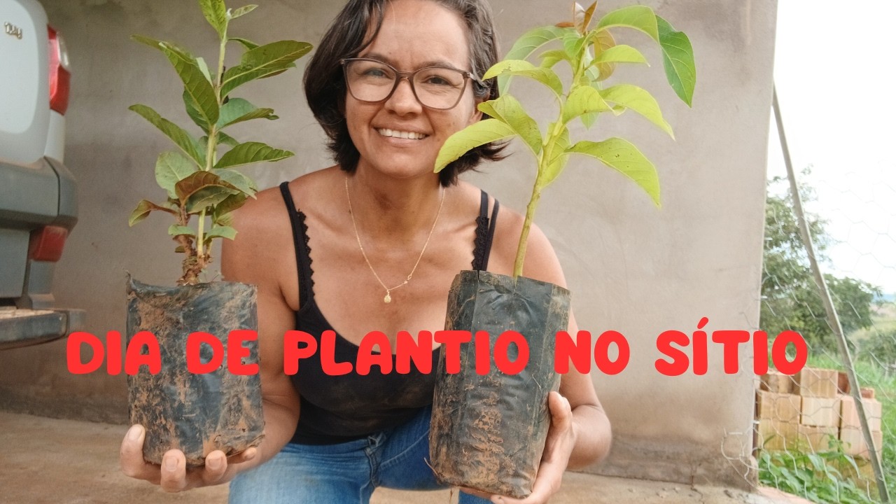 Vem comigo plantar