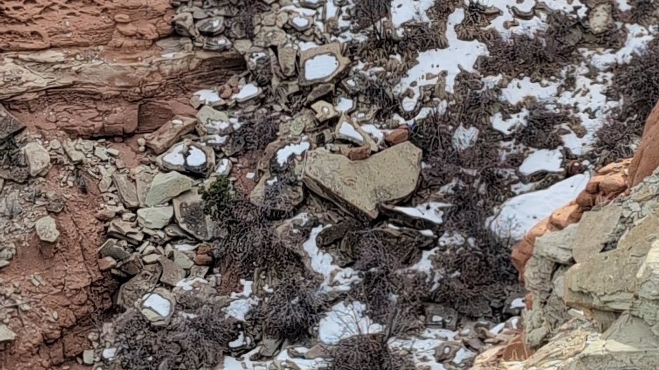 Back again, Humbug Wash, Utah.