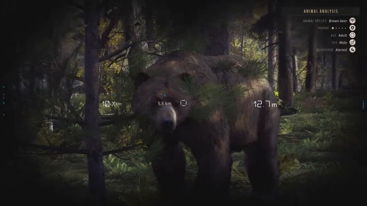 SOUND ANALYSIS BUGS WAY OF THE HUNTER Update 1.26-