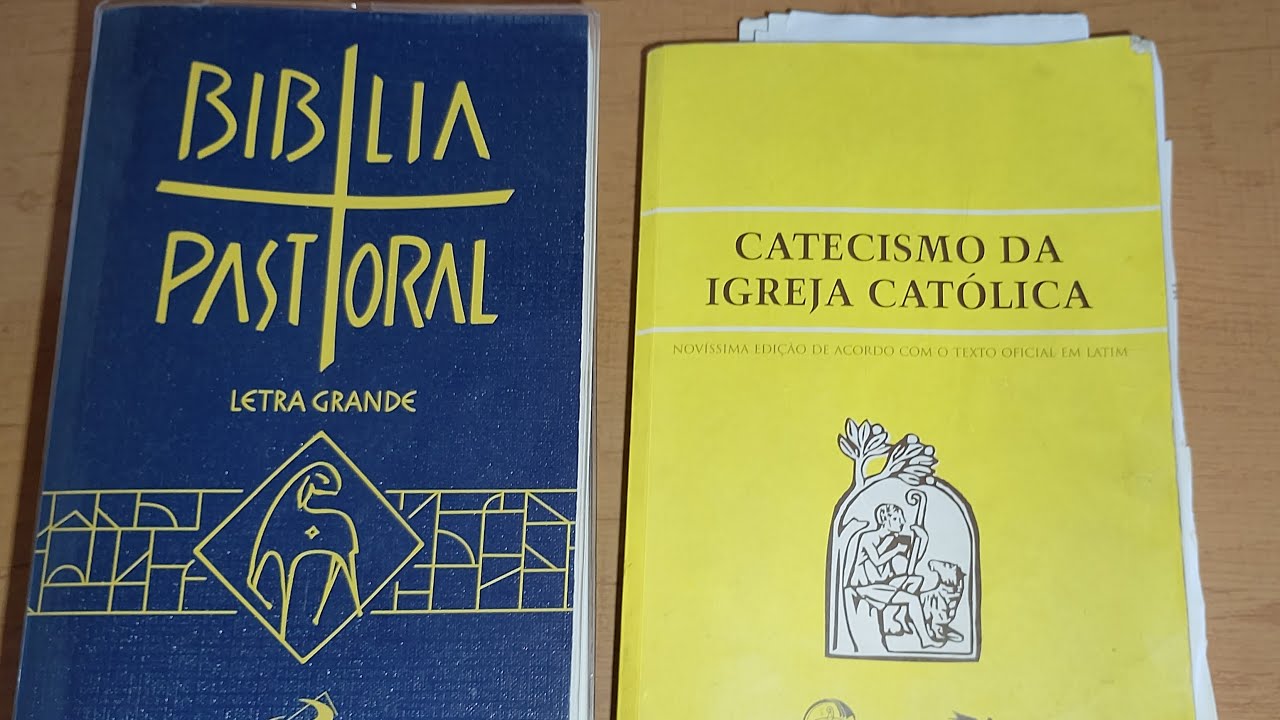 #6 dia. ler a bíblia e catecismo em 1 ano. Ge 7. sal 7 .MT 7. cic 65-73