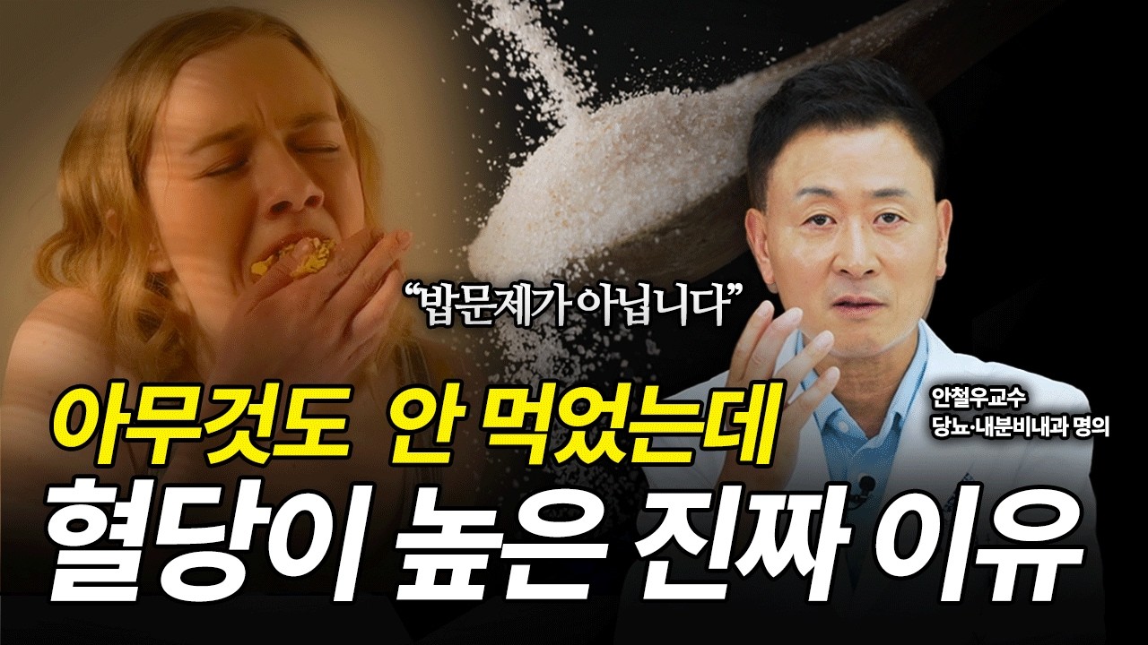 당뇨, 이렇게 관리하면 쉬워집니다 | 식사·운동·수면·스트레스가 중요한 이유 | 30년 임상 경험 강남세브란스 안철우 교수