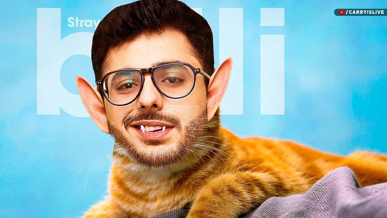 CARRYMINATI PLAYS THE CAT GAME Pt. 2