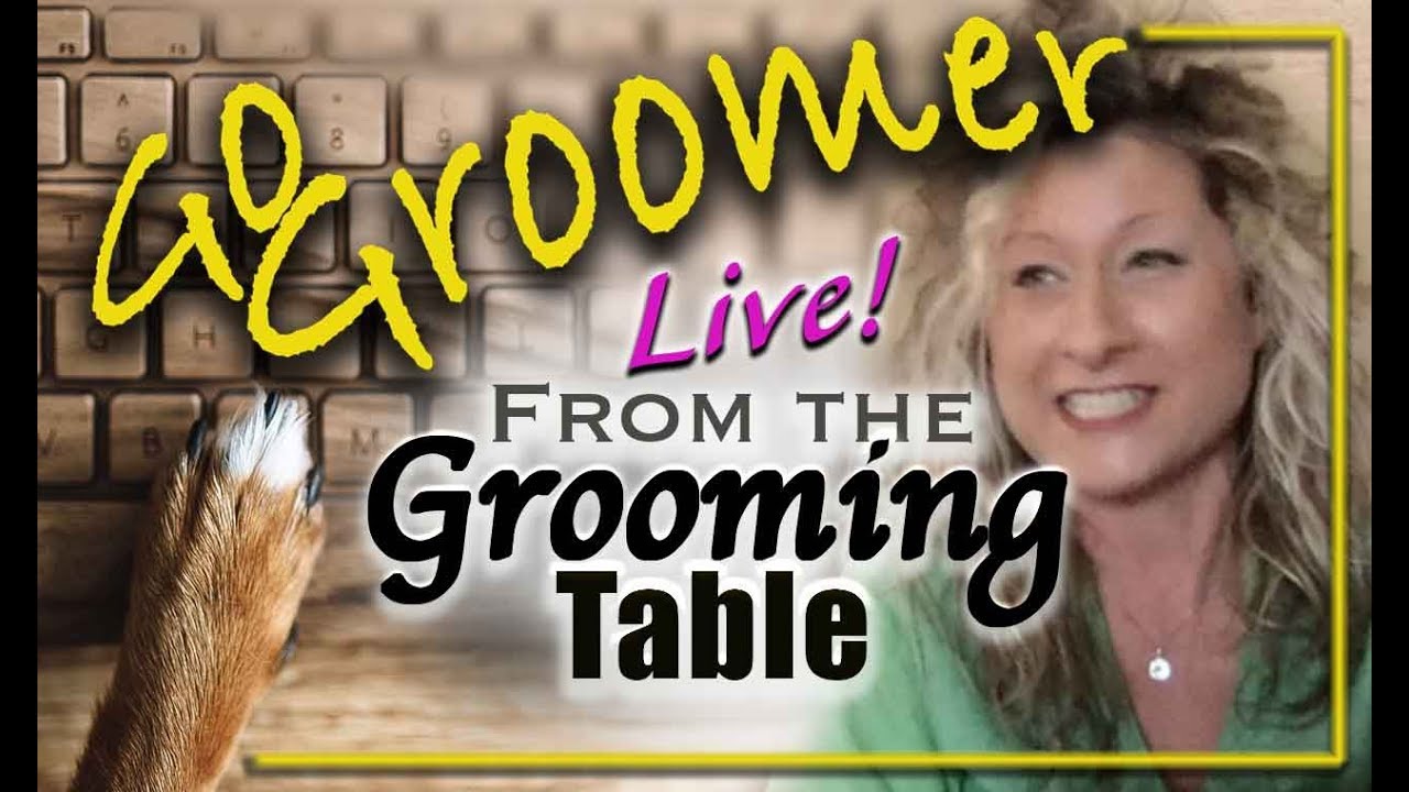 The Labradoodle-Live from the Grooming Table