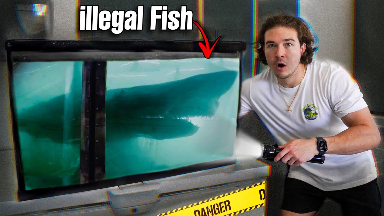 Catching ILLEGAL FISH For My Saltwater Pond...