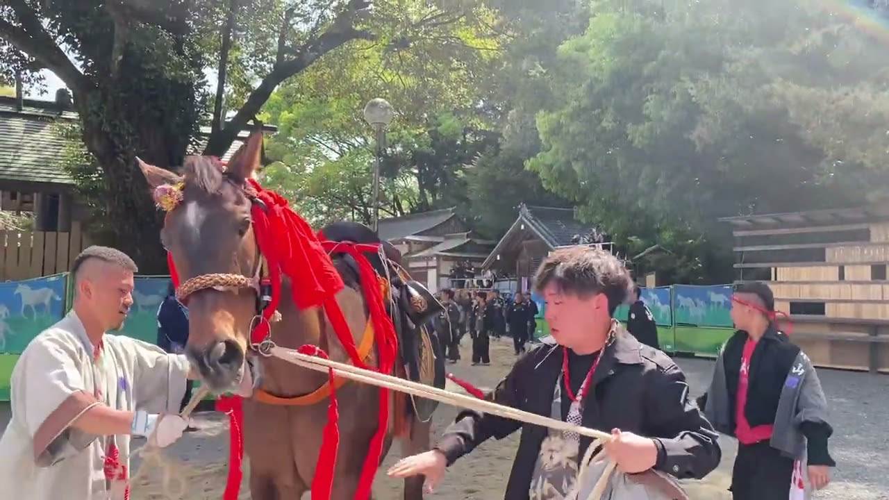 桑名市　多度祭・上げ馬神事　本楽祭　花馬　小山地区