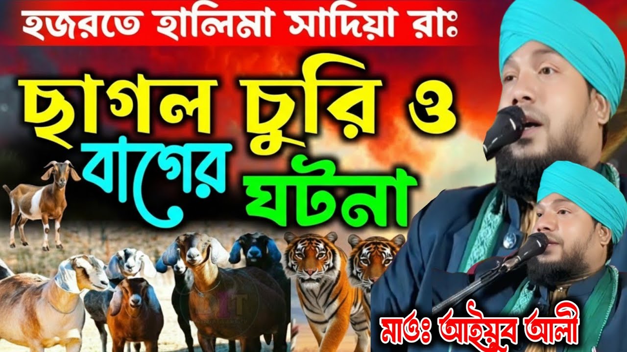হালিমা সাদিয়ার রাঃ ছাগল চুরি ও বাগের ঘটনা || Mufti Aiyub Ali Malda || Aiyub Ali Malda waz 2026
