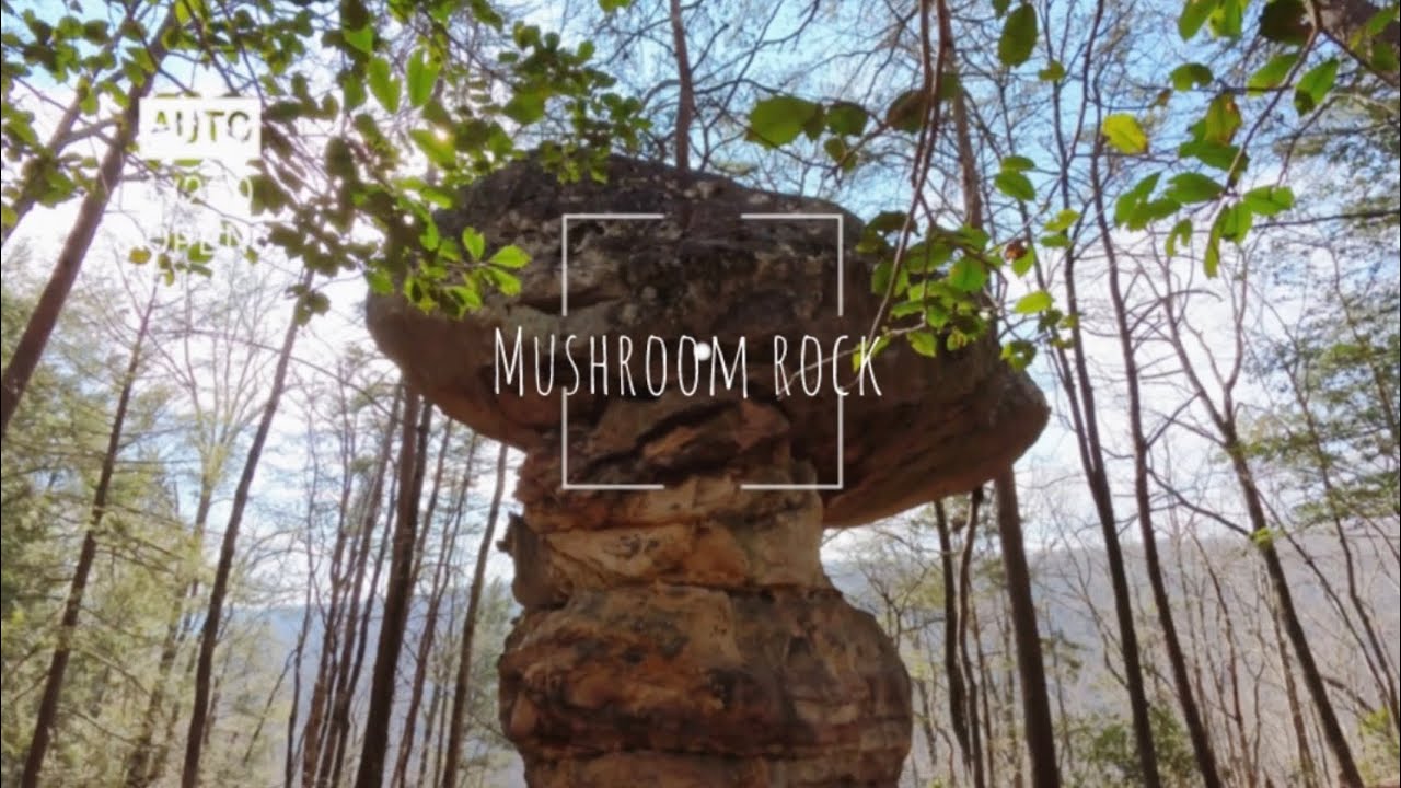 WE SAW A MUSHROOM ROCK 😄 #hiking #vlog 