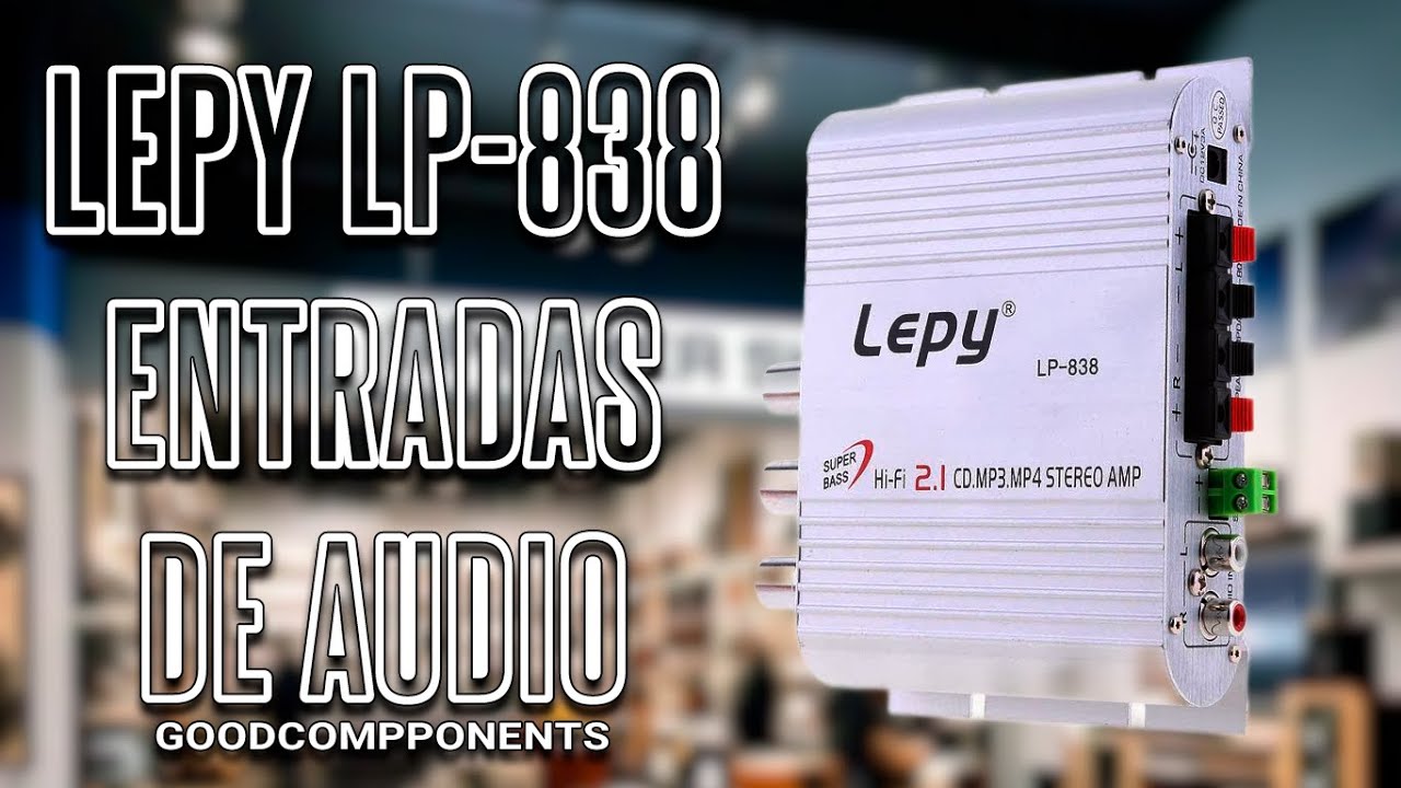 LEPY LP-838 | TIPOS DE ENTRADAS DE AUDIO