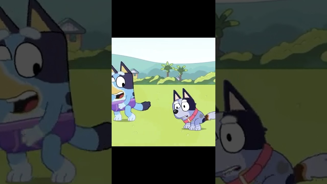 Socks takes a sh!t #bluey #funny #shorts