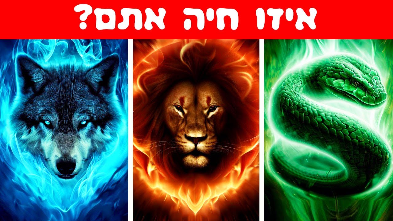 טסט - איזו חיה אתם