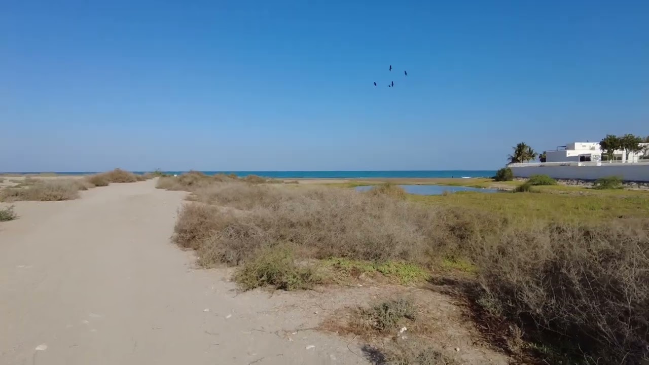 04 Mascate zona spiaggia centrale (Oman Gennaio 2026) DJI Osmo Pocket 2