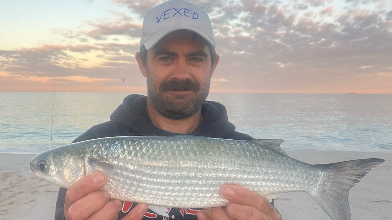 Monday beach fishing-Seaching for food and fun