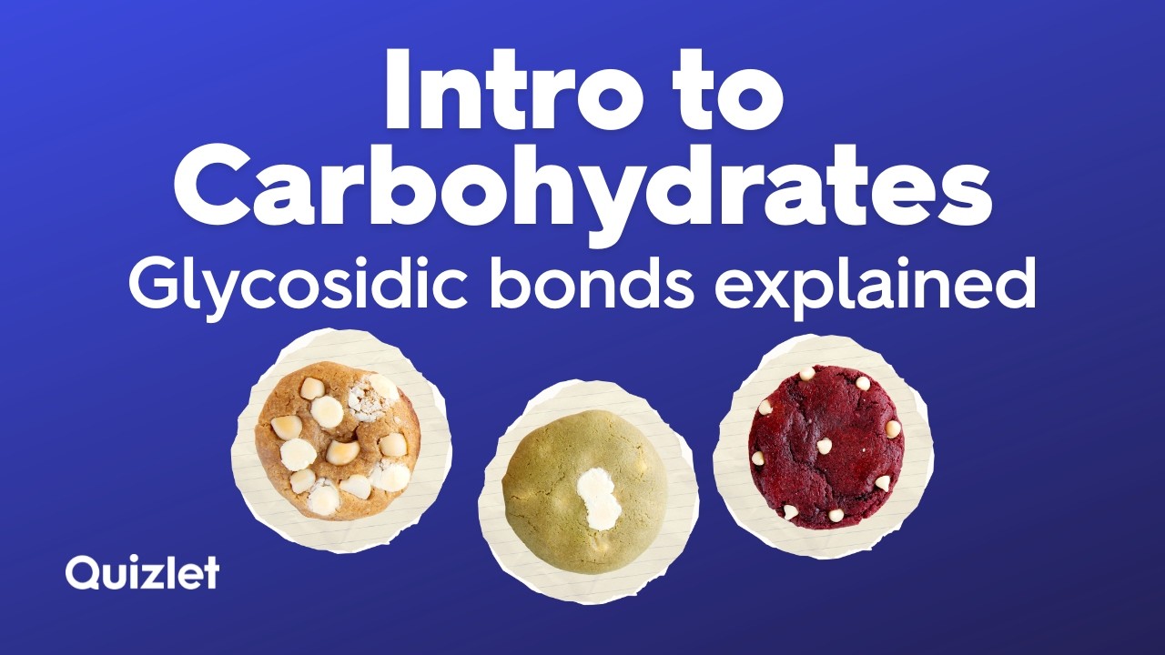 Introduction to Carbohydrates | Types, Functions and Glycosidic Bonds Explained