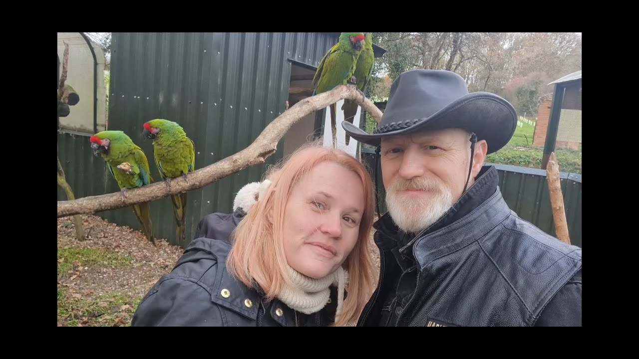 Tropical Birdland Part 1 of 2