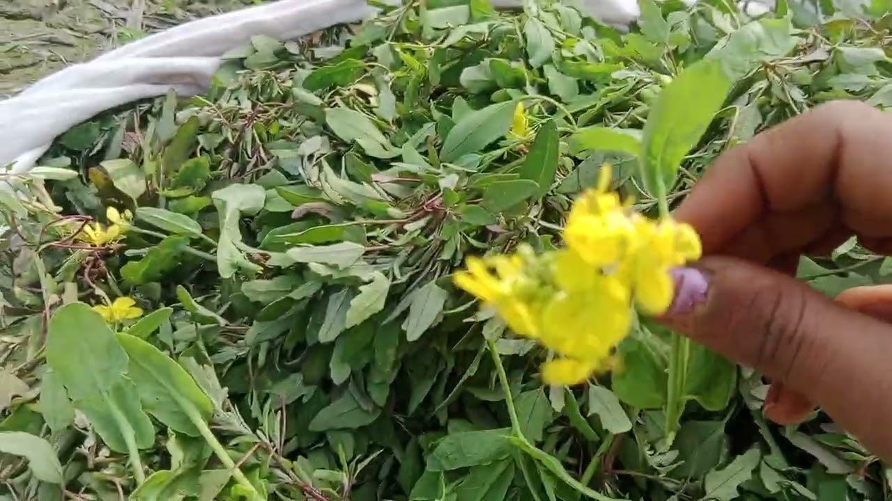 फर्स्ट ब्लॉक में स्वागत है जो निदर्दी होगा मेरे वीडियो को अनदेखा कर देगा trending viral public block