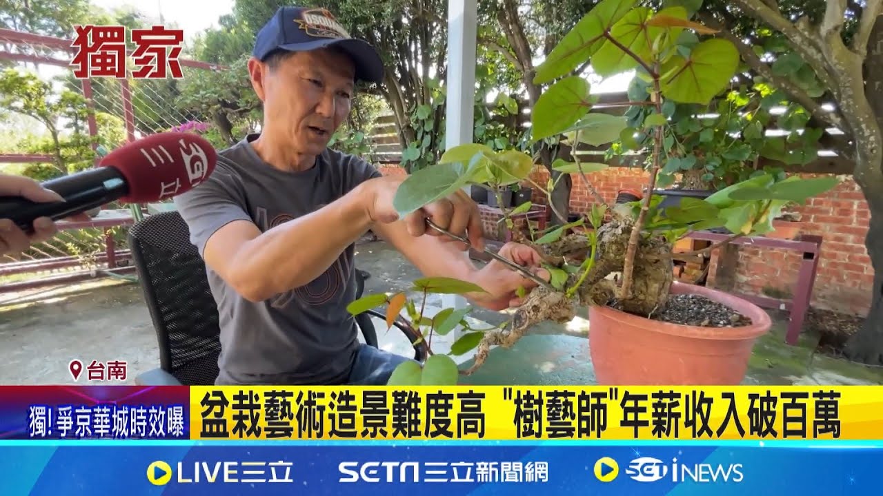 盆栽藝術造景難度高 