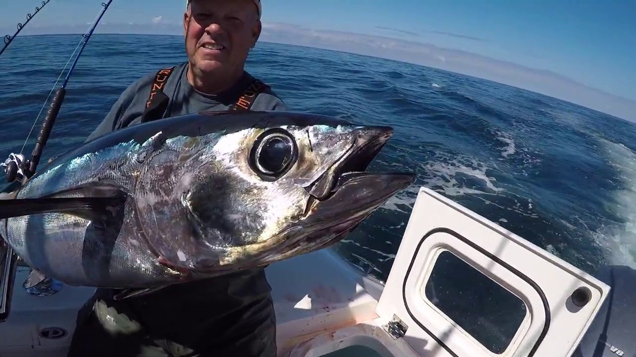 INSANE Oregon Coast Albacore Tuna Fishing!!!