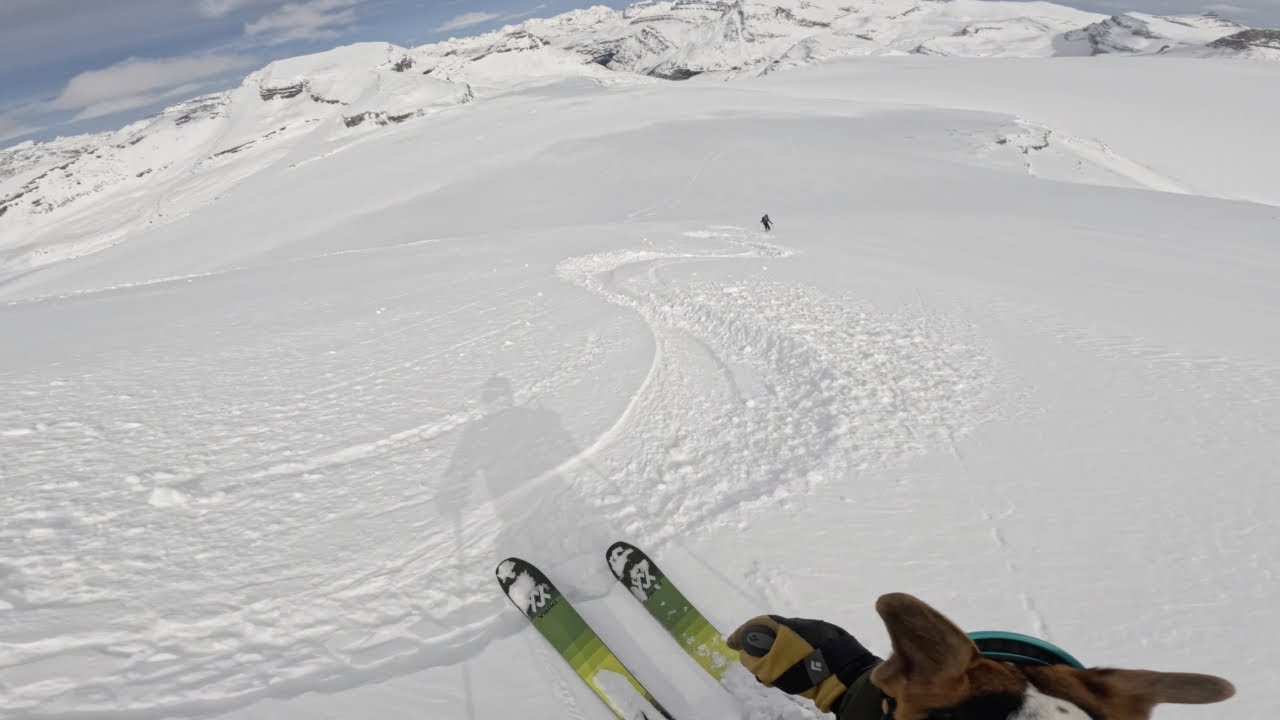 Skiing Down Mt. Rhondda and across the Wapta Icefield