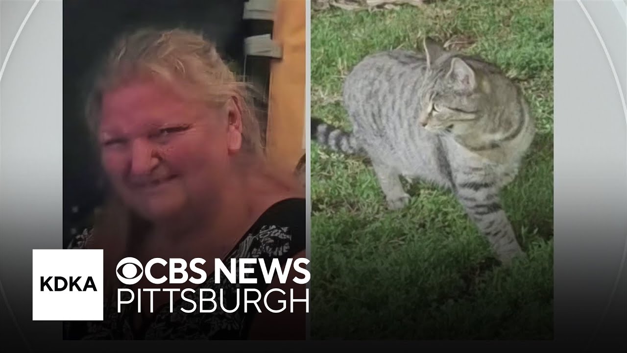 Rescuers say they are close to area where Pennsylvania woman fell down sinkhole