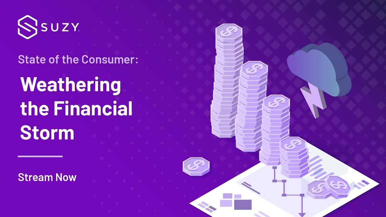 State of the Consumer: Weathering the Financial Storm