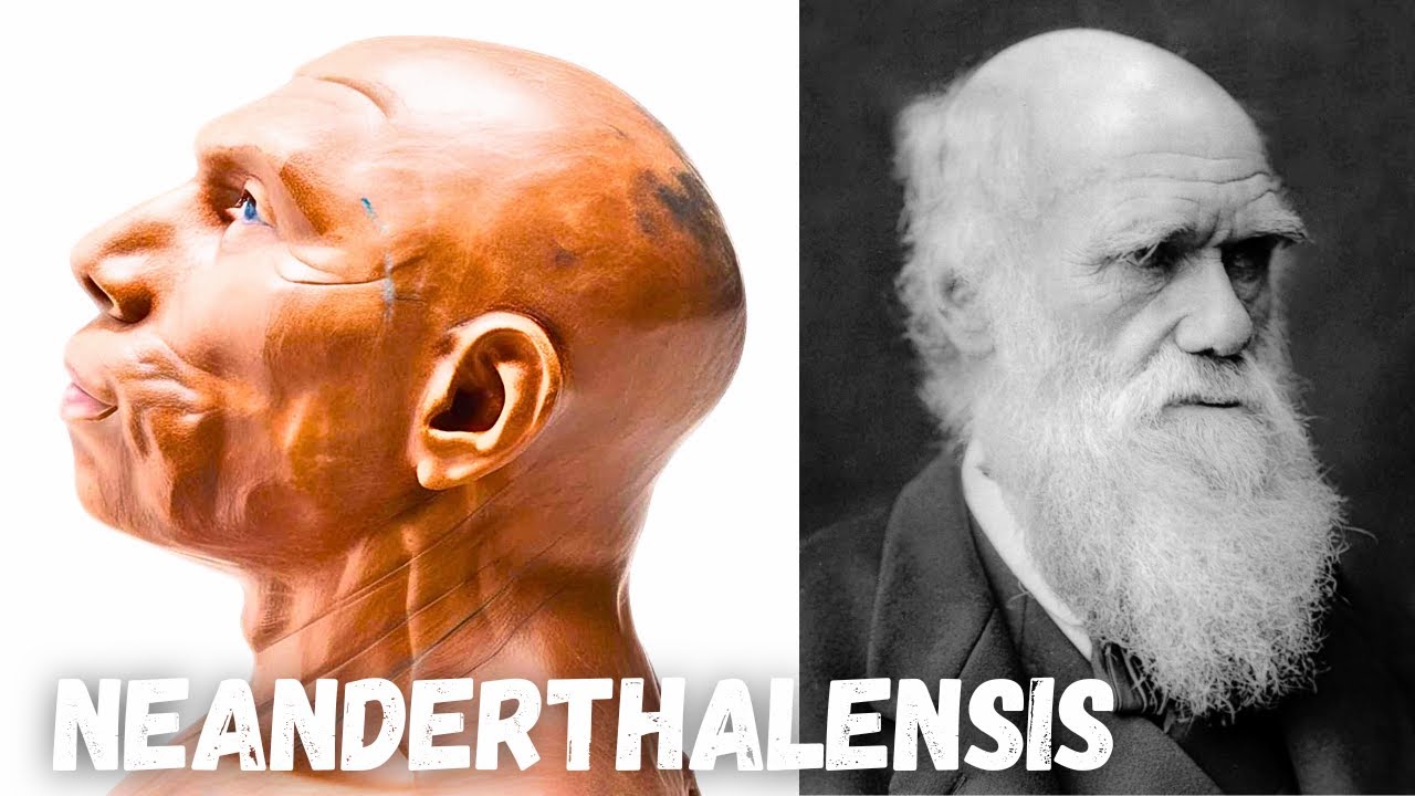 Pure Nightmare Fuel - The Terrifying Truth About Paleolithic Europe